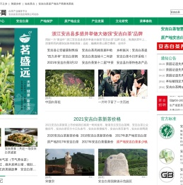 浙江安吉白茶网