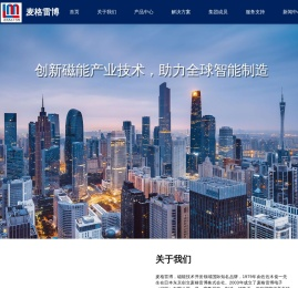整体充磁,表磁检测