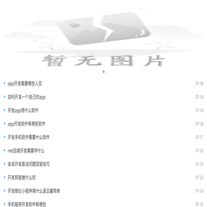 维意应用软件开发网