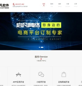 APP开发