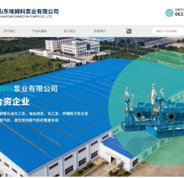山东埃姆科泵业有限公司