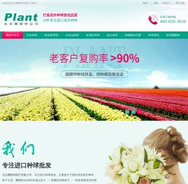 进口种球
