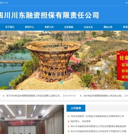 四川川东融资担保有限公司