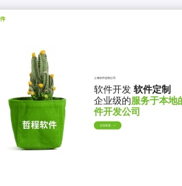 上海APP定制公司