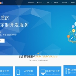 APP开发