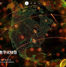 上海迅傲信息科技股份有限公司