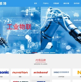 智能微控制处理器解决方案供应商