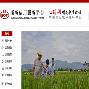 官网