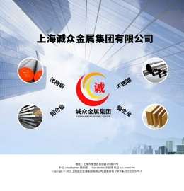 上海诚众金属集团有限公司