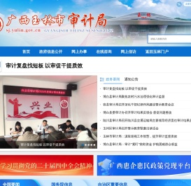 广西玉林市审计局网站