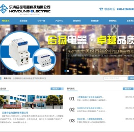 乐清合扬电器科技有限公司