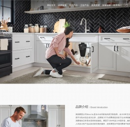 摩恩Moen马桶