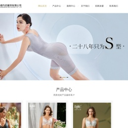 调整型内衣,调整型文胸,进口塑身内衣,纤体内衣