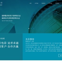 武汉光谷微创医疗科技有限公司