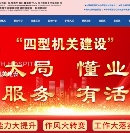 邢台市第九医院官网