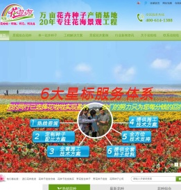 花卉种子批发,景观花种批发,花卉种子销售