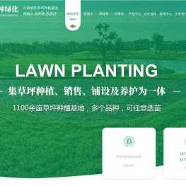 新乡百慕大草坪批发