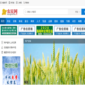 农民网