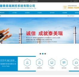 安徽泰美瑞测控系统有限公司
