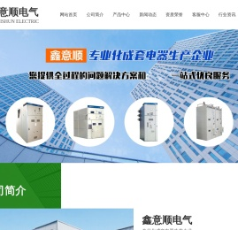 山东鑫意顺电气有限公司