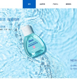 上海帝润实业有限公司