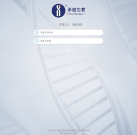 项目系统