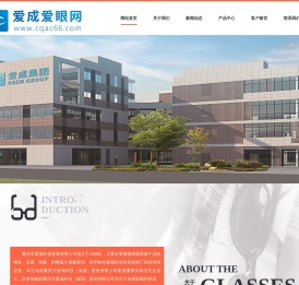 爱成爱眼网