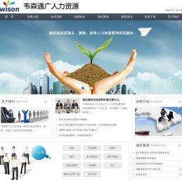 深圳市韦森通广人力资源管理咨询有限公司