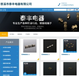 慈溪市泰丰电器有限公司