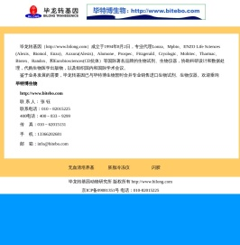 无血清培养基