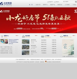 小龙集团