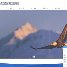 广东博纳融资租赁有限公司