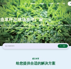 人造草坪足球场价格