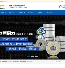腾远工业装备发展有限公司