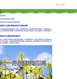 说植物