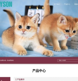 莱森宠物科技（深圳）有限公司