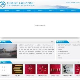 公主岭市中大轿车气门嘴厂