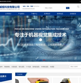 视觉系统