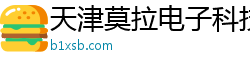 天津莫拉电子科技有限公司