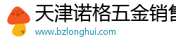 天津诺格五金销售有限公司