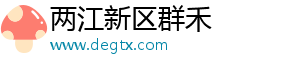 两江新区群禾服装店（个体工商户）
