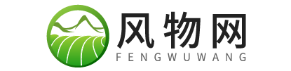 风物网