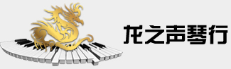 龙之声琴行