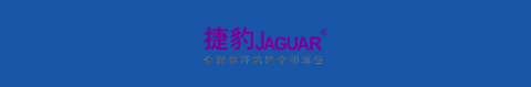 南充市顺庆区捷豹机电经营部