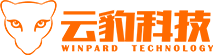 广西网络公司