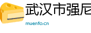 武汉市强尼网络有限公司