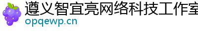 遵义智宜亮网络科技工作室（个人独资）