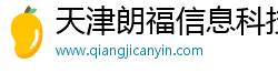 天津朗福信息科技有限公司