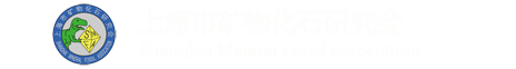 上海市矿物化石研究会