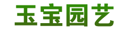 宁波花木出租